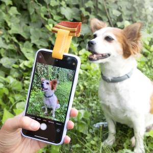 SELFIKLAMBER LEMMIKLOOMA tähelepanu püüdmiseks PEFIE 